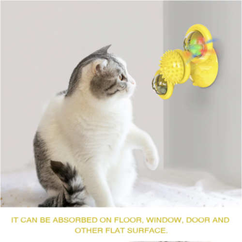 Gatti che fanno roteare le sfere LED