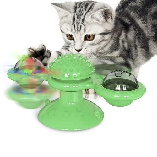 Gatti che fanno roteare le sfere LED