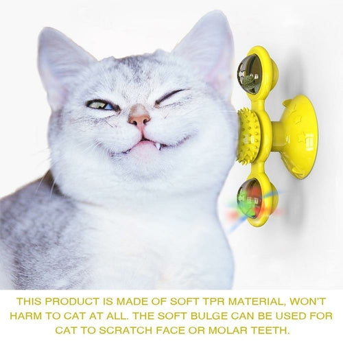 Gatti che fanno roteare le sfere LED