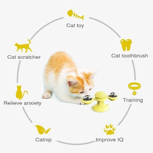 Gatti che fanno roteare le sfere LED