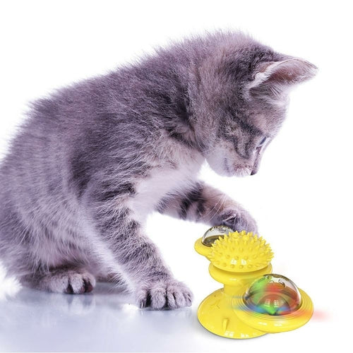 Gatti che fanno roteare le sfere LED